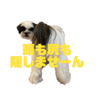 ワンぱく犬（個別スタンプ：25）