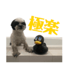 ワンぱく犬（個別スタンプ：31）