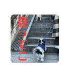 ワンぱく犬（個別スタンプ：32）
