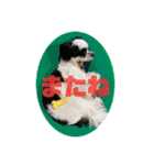 ワンぱく犬（個別スタンプ：36）