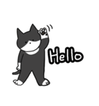 えいご猫（個別スタンプ：1）