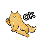 えいご猫（個別スタンプ：13）