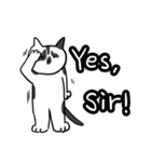 えいご猫（個別スタンプ：16）