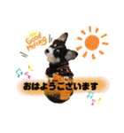 コーギー蓮ちゃん❤︎スタンプ（個別スタンプ：2）