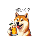 ドット絵 呑む柴犬 酒盛り（個別スタンプ：3）