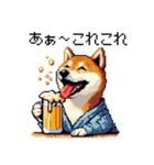 ドット絵 呑む柴犬 酒盛り（個別スタンプ：10）