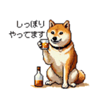 ドット絵 呑む柴犬 酒盛り（個別スタンプ：12）