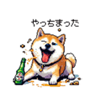 ドット絵 呑む柴犬 酒盛り（個別スタンプ：16）