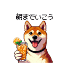 ドット絵 呑む柴犬 酒盛り（個別スタンプ：21）