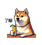 ドット絵 呑む柴犬 酒盛り（個別スタンプ：24）