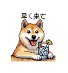 ドット絵 呑む柴犬 酒盛り（個別スタンプ：25）