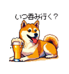 ドット絵 呑む柴犬 酒盛り（個別スタンプ：26）