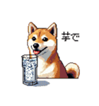 ドット絵 呑む柴犬 酒盛り（個別スタンプ：27）