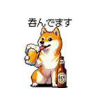 ドット絵 呑む柴犬 酒盛り（個別スタンプ：28）