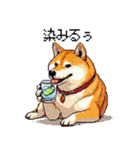 ドット絵 呑む柴犬 酒盛り（個別スタンプ：29）