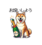 ドット絵 呑む柴犬 酒盛り（個別スタンプ：38）