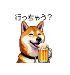 ドット絵 呑む柴犬 酒盛り（個別スタンプ：40）