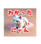 立体ねこにゃんがつぶやいた（個別スタンプ：8）