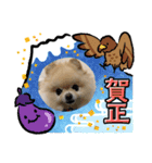 アイスの正月スタンプ（個別スタンプ：1）