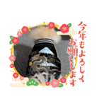 アイスの正月スタンプ（個別スタンプ：2）