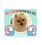 アイスの正月スタンプ（個別スタンプ：5）