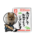 アイスの正月スタンプ（個別スタンプ：6）