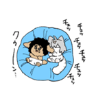 うぎゃねこ（個別スタンプ：27）