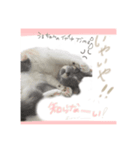 うるちゃんの成長日記♪（個別スタンプ：3）