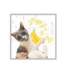 うるちゃんの成長日記♪（個別スタンプ：4）