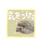 うるちゃんの成長日記♪（個別スタンプ：6）