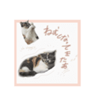 うるちゃんの成長日記♪（個別スタンプ：7）