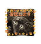 黒猫 ルナ院長132にゃんめ（個別スタンプ：6）