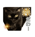 黒猫 ルナ院長132にゃんめ（個別スタンプ：7）