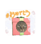 ハッピー＆ラッキースタンプ(=^ェ^=) ⑫（個別スタンプ：27）