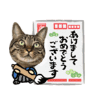 ハッピー＆ラッキースタンプ(=^ェ^=) ⑫（個別スタンプ：35）