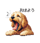 ドット絵 ラブラドゥードル ゴールド 40種（個別スタンプ：1）