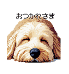 ドット絵 ラブラドゥードル ゴールド 40種（個別スタンプ：4）