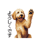 ドット絵 ラブラドゥードル ゴールド 40種（個別スタンプ：5）