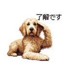 ドット絵 ラブラドゥードル ゴールド 40種（個別スタンプ：6）