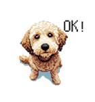 ドット絵 ラブラドゥードル ゴールド 40種（個別スタンプ：7）