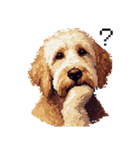 ドット絵 ラブラドゥードル ゴールド 40種（個別スタンプ：16）