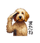 ドット絵 ラブラドゥードル ゴールド 40種（個別スタンプ：19）