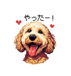 ドット絵 ラブラドゥードル ゴールド 40種（個別スタンプ：23）