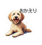 ドット絵 ラブラドゥードル ゴールド 40種（個別スタンプ：26）