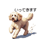 ドット絵 ラブラドゥードル ゴールド 40種（個別スタンプ：31）