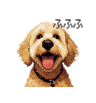 ドット絵 ラブラドゥードル ゴールド 40種（個別スタンプ：33）