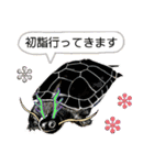 亀ってなんてかわいいの♥️9（個別スタンプ：17）