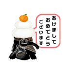 亀ってなんてかわいいの♥️9（個別スタンプ：18）