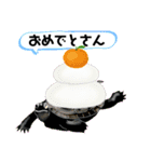 亀ってなんてかわいいの♥️9（個別スタンプ：19）