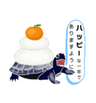 亀ってなんてかわいいの♥️9（個別スタンプ：22）